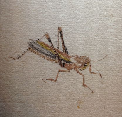 ���ʯ�����б�������ݳ�ͼ��