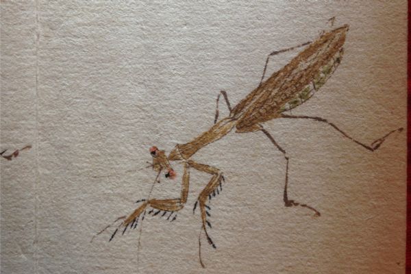 ���ʯ�����б�������ݳ�ͼ��