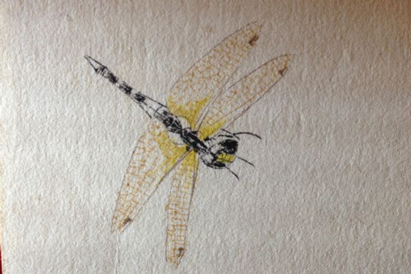 ���ʯ�����б�������ݳ�ͼ��