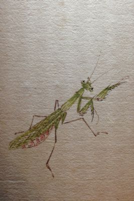 ���ʯ�����б�������ݳ�ͼ��