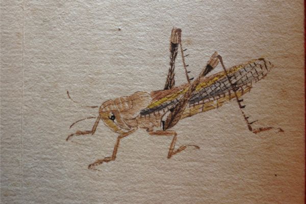 ���ʯ�����б�������ݳ�ͼ��