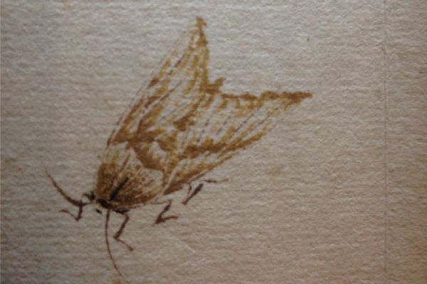 ���ʯ�����б�������ݳ�ͼ��