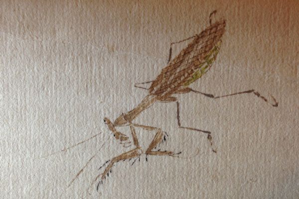 ���ʯ�����б�������ݳ�ͼ��