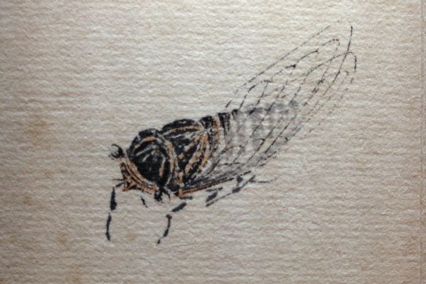 ���ʯ�����б�������ݳ�ͼ��