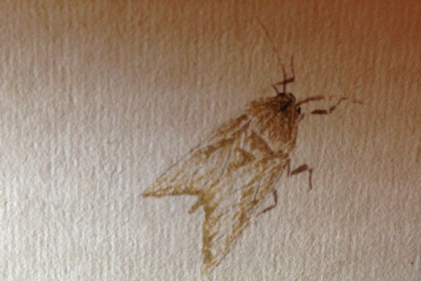 ���ʯ�����б�������ݳ�ͼ��