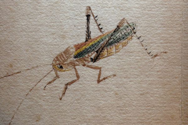 ���ʯ�����б�������ݳ�ͼ��