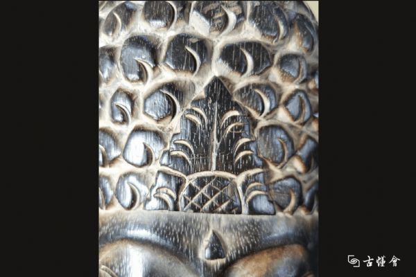 �ձ�������ľ��