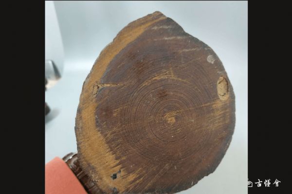 �ձ�ľ̥�����ڼ�