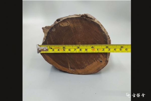 �ձ�ľ̥�����ڼ�