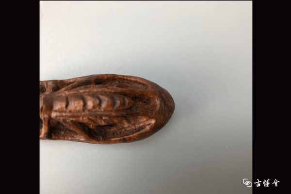 �ձ�����ľ�����ͼƬ